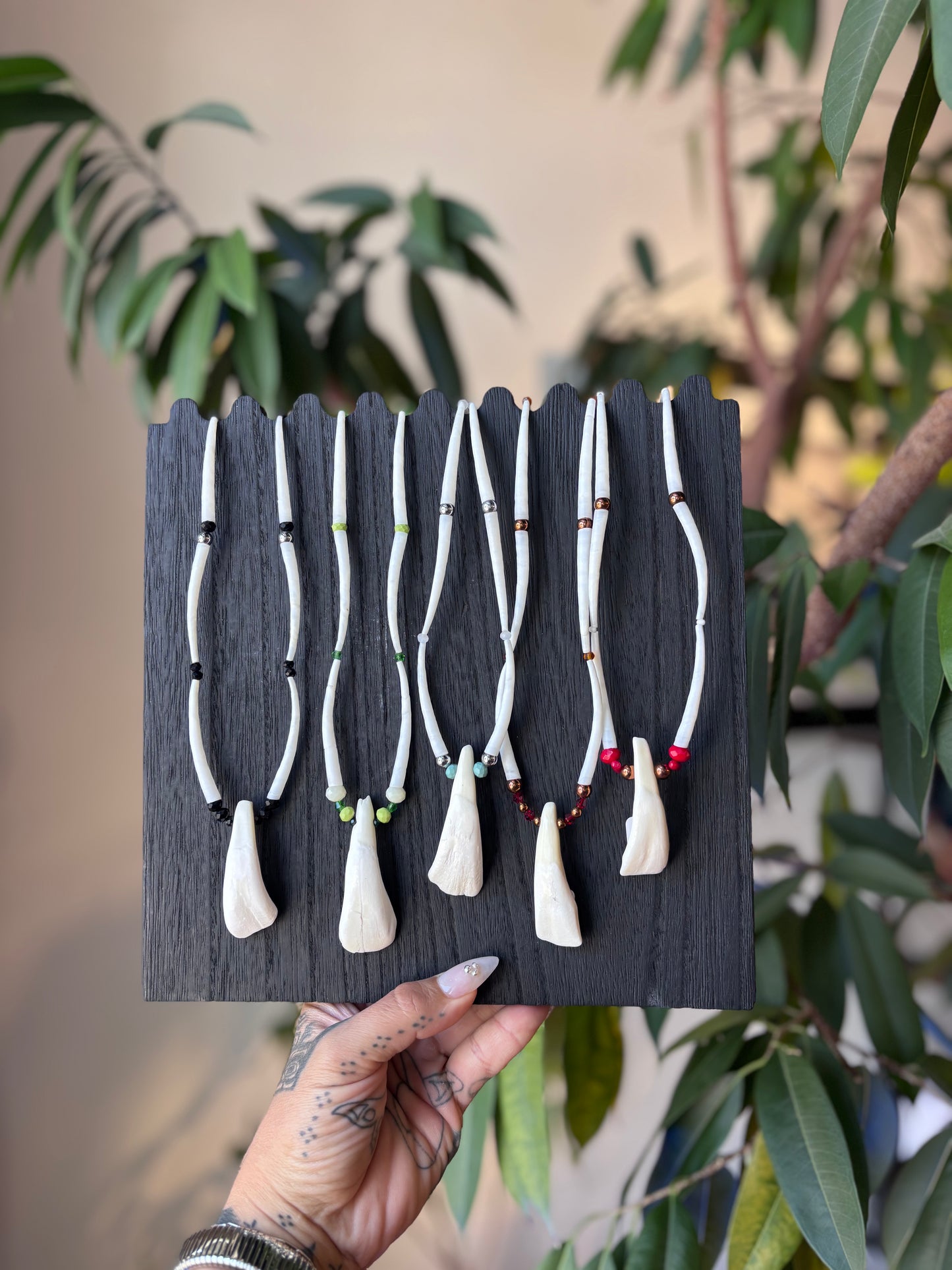 Buffalo Teeth Necklace by Laverne Tsosie